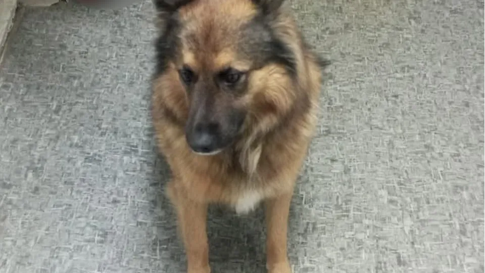 Фото: Александр Александров