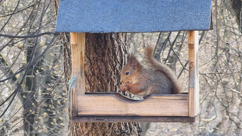 Фото: МедиаБанк Подмосковья/Мария Шигорева