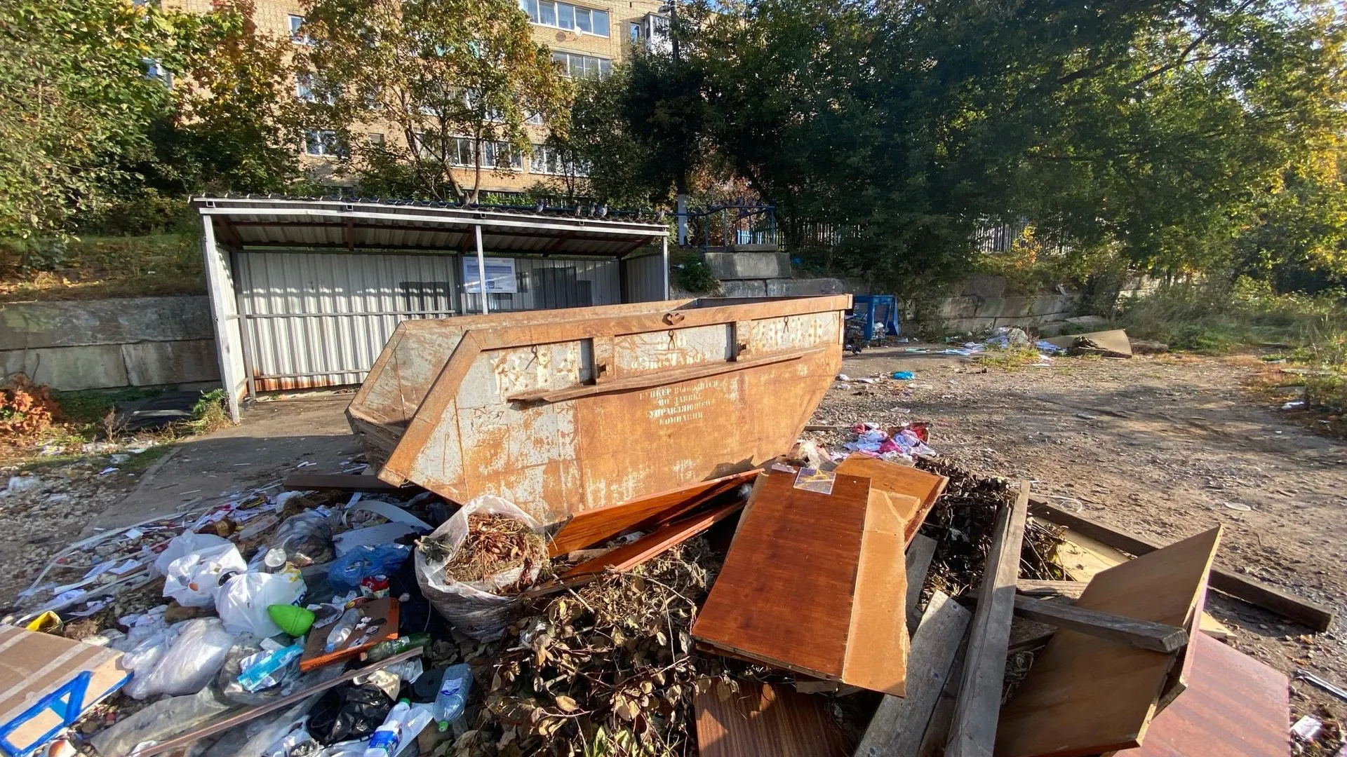 Фото: ТУЧКОВО | online / Вконтакте