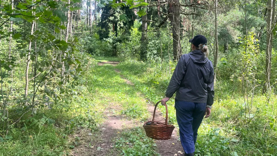 Фото: МедиаБанк Подмосковья/Елизавета Приймак