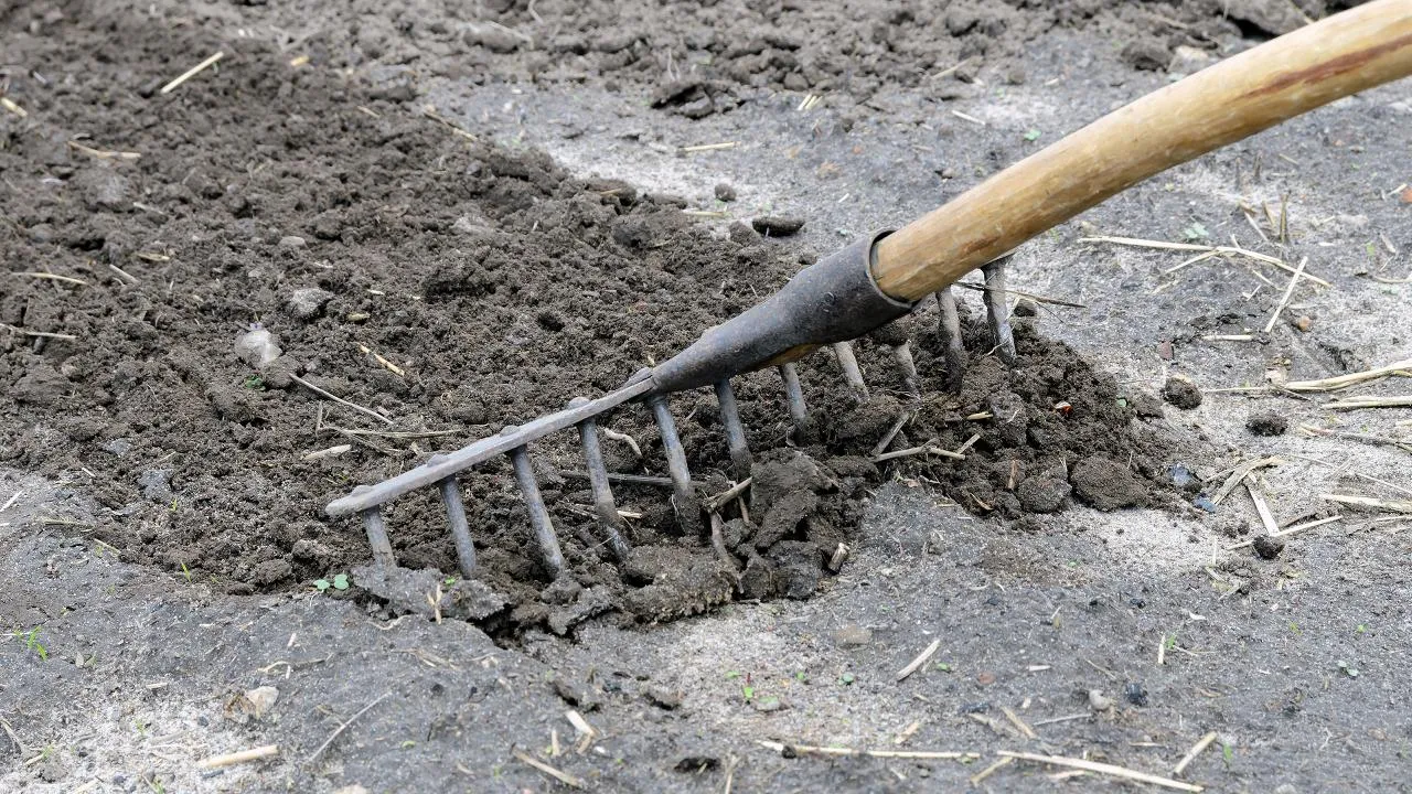 istockphoto.com