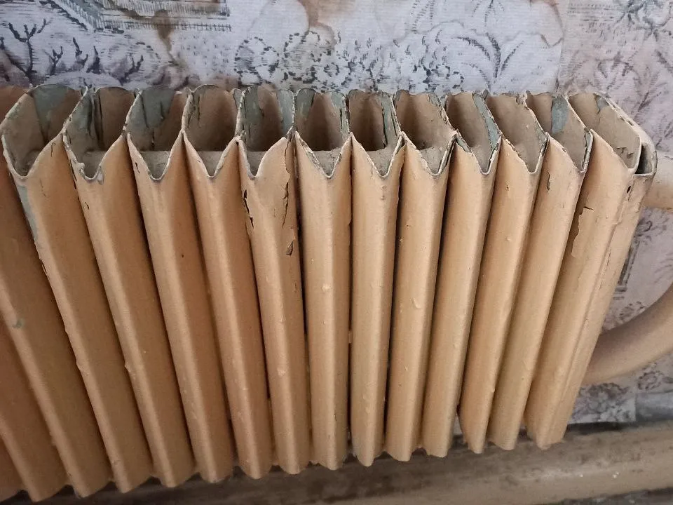 Фото: REGIONS/Олег Книжник