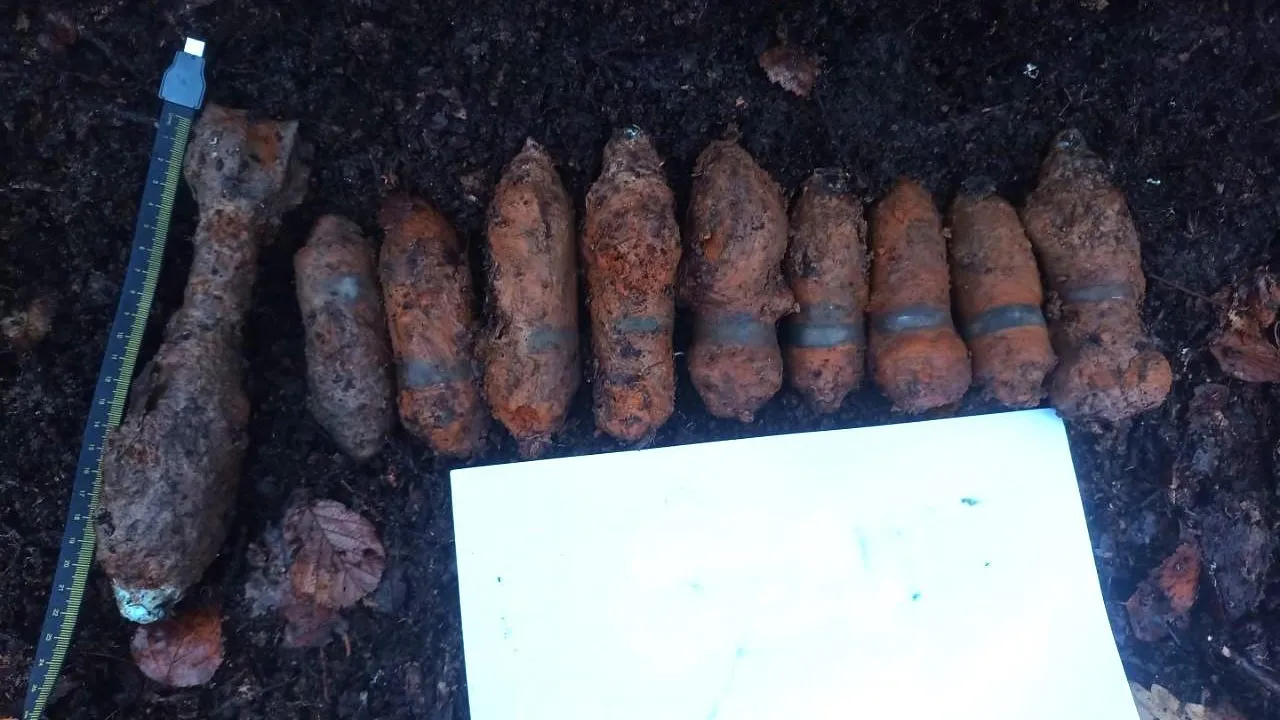 Фото: ГКУ МО «Мособлпожспас»