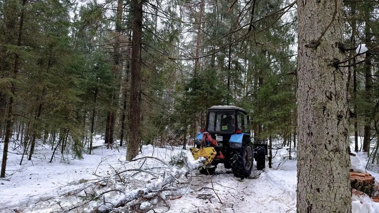Комитет лесного хозяйства Московской области