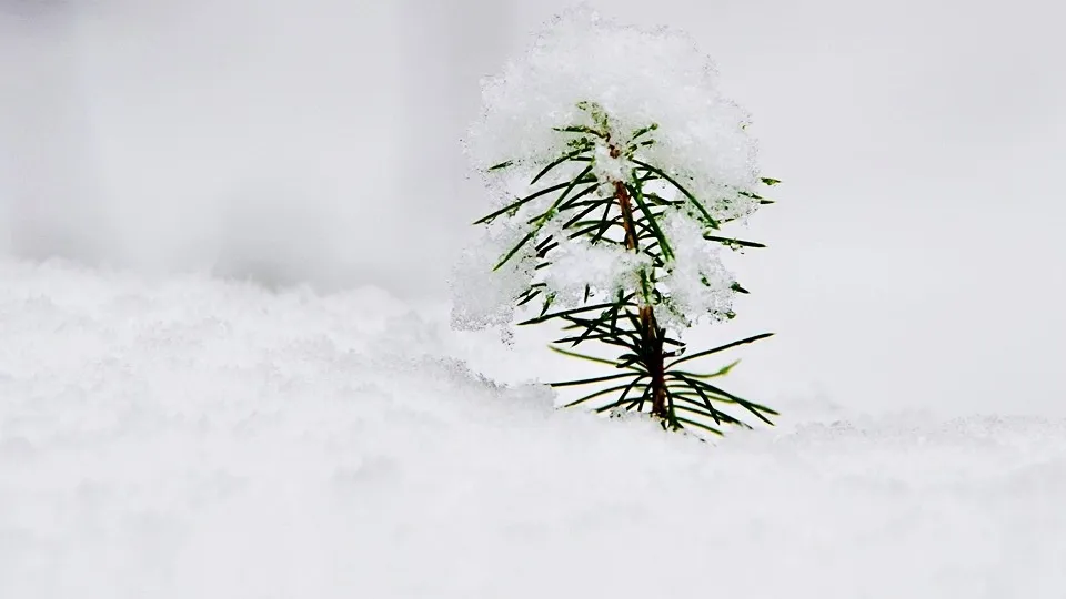 Фото: Ольга Калинина