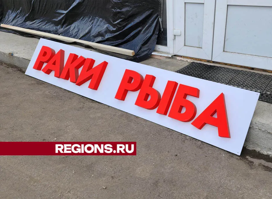 Фото: Валерия Тингаева