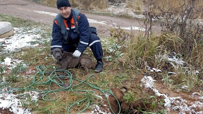 В Дмитрове спасатели вытащили собаку, которая провалилась в глубокую яму