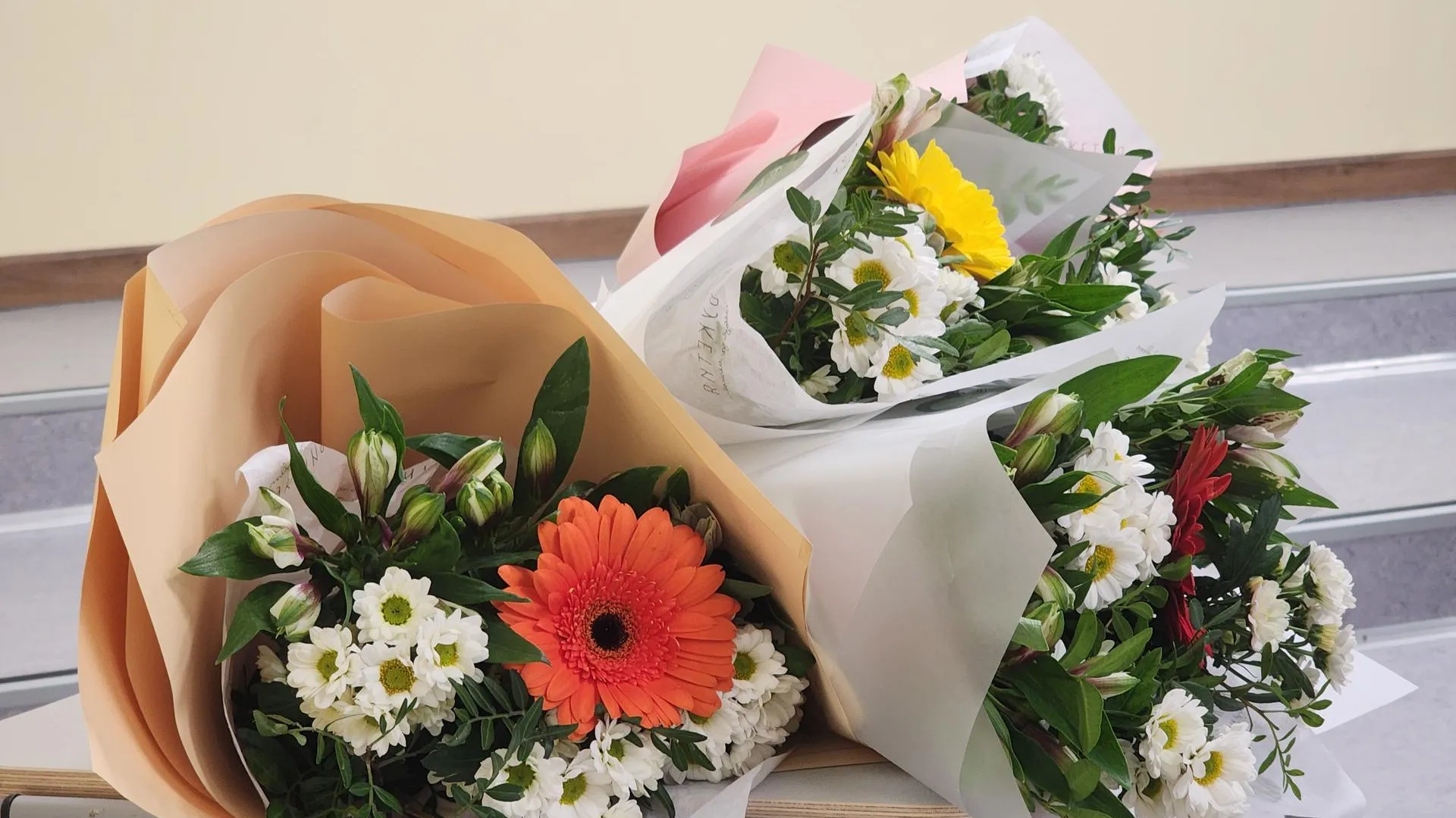 Фото: МедиаБанк Подмосковья/Иван Петрушин