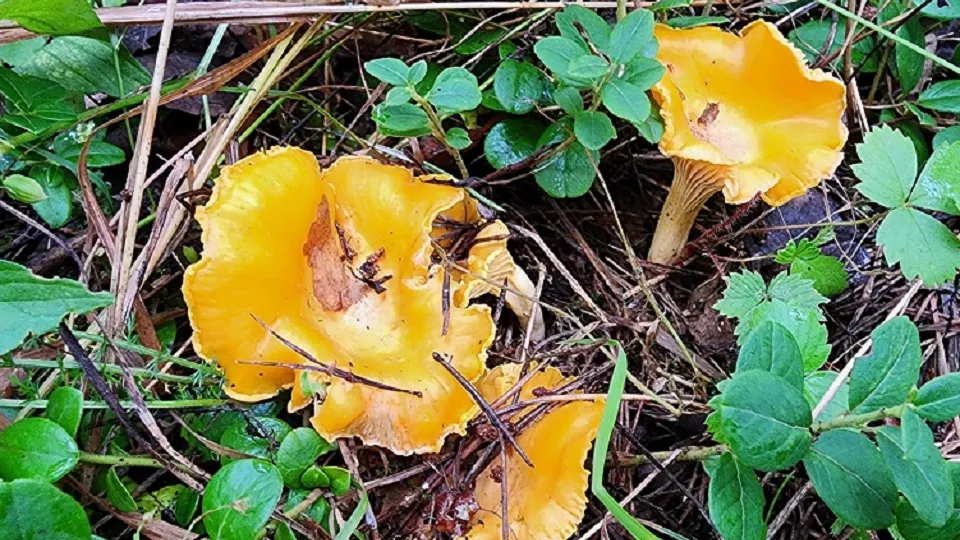 Фото: Михаил Мартыненко