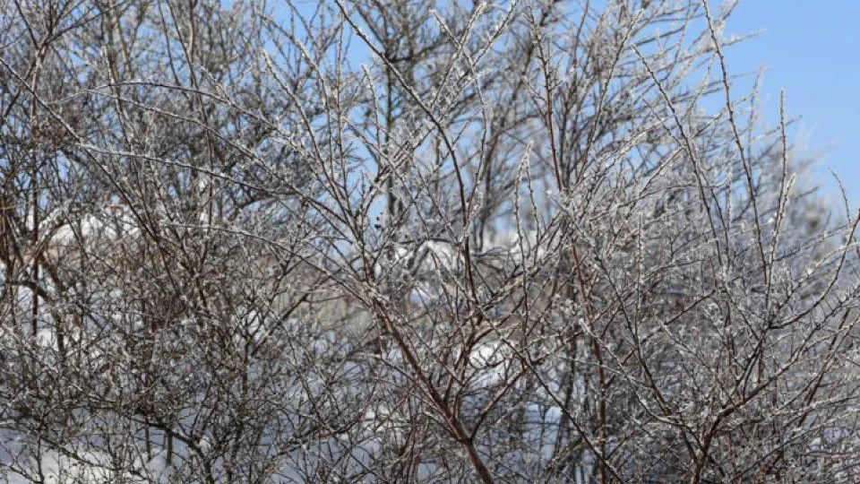 Оттепель с сюрпризом: какая погода ждет жителей Москвы и Подмосковья на выходных