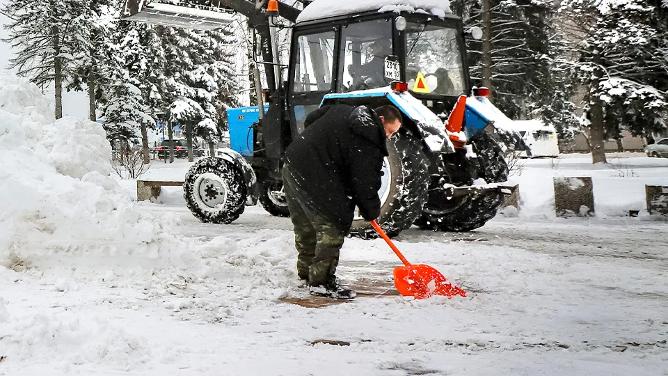 Фото: МедиаБанк Подмосковья/Данила Кирьянов