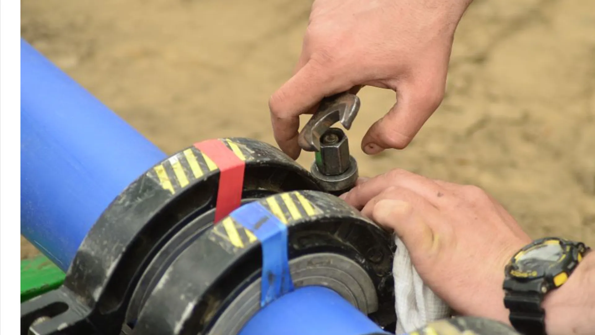 Фото: МедиаБанк Подмосковья/Анастасия Хренкова