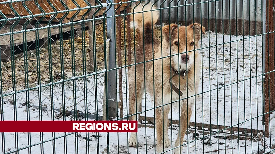 Фото: REGIONS/Валерий Гореловский