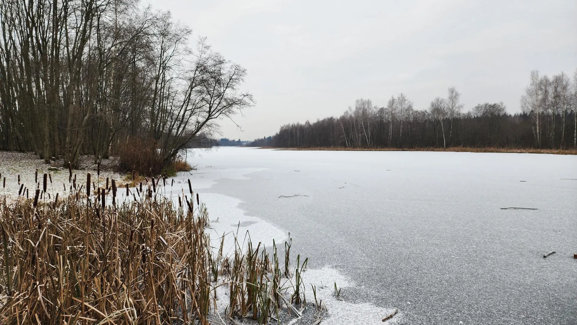 Светлана Борщева