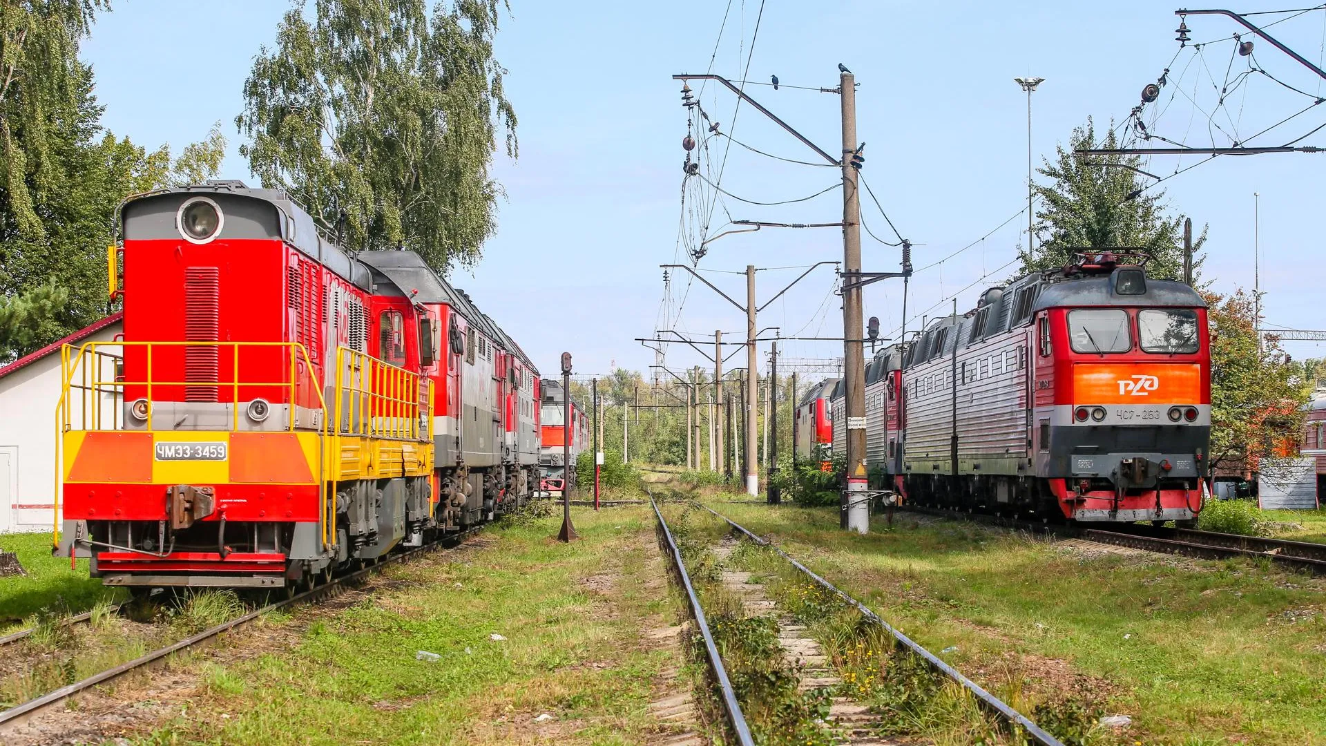 Фото: Виталий Ватулин