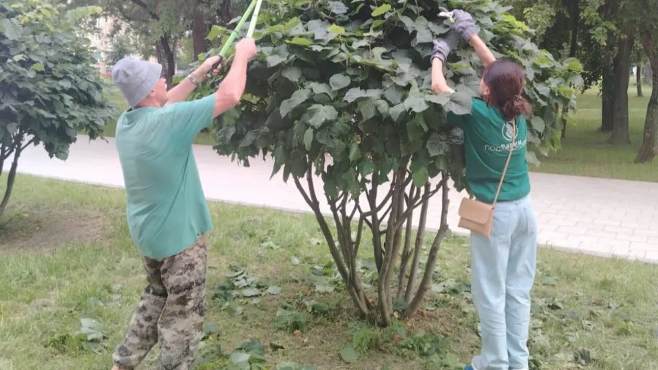 Фото: Министерство по содержанию территорий и государственному жилищному надзору МО