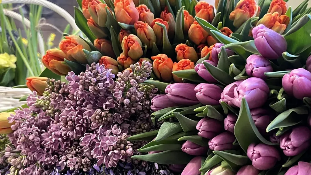 Анна Тюрюмина