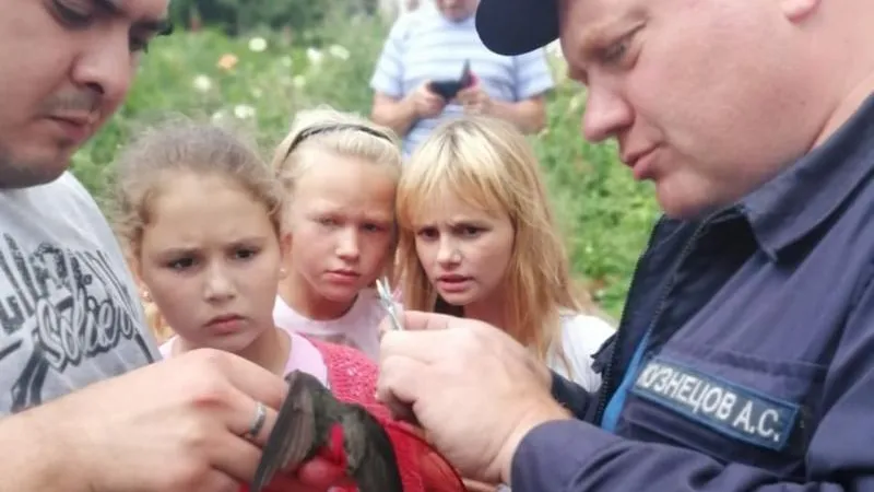 Ласточку, запутавшуюся в леске, спасли пожарные в Луховицах