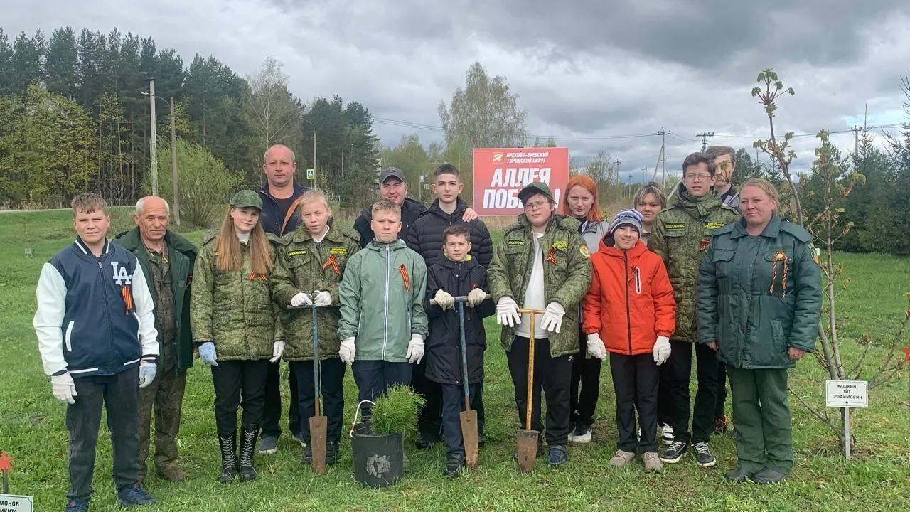 Фото: Орехово-Зуевский филиал ГАУ МО «Мособллес»