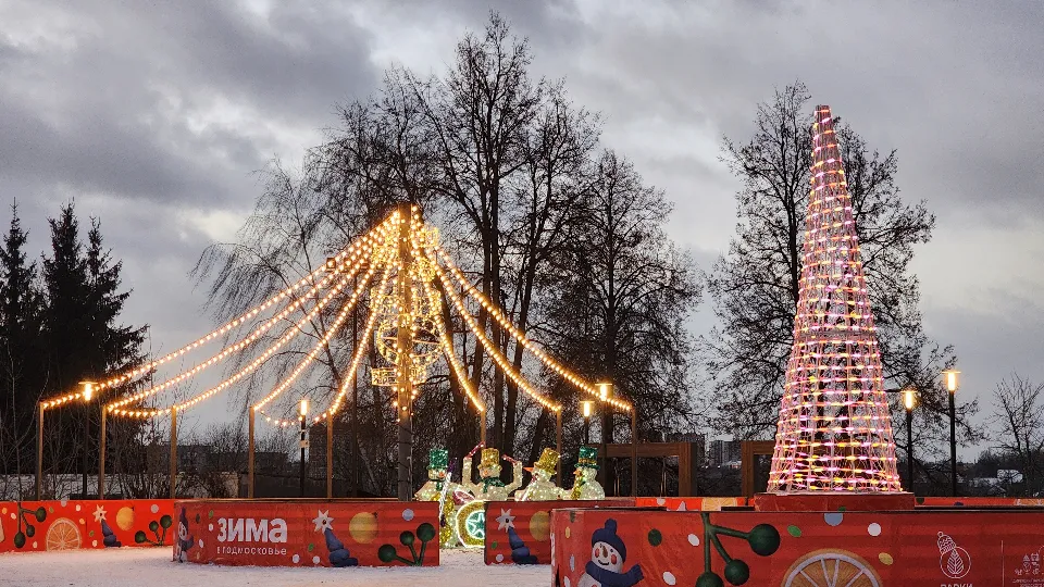 Фото: МедиаБанк Подмосковья/Мария Шигорева