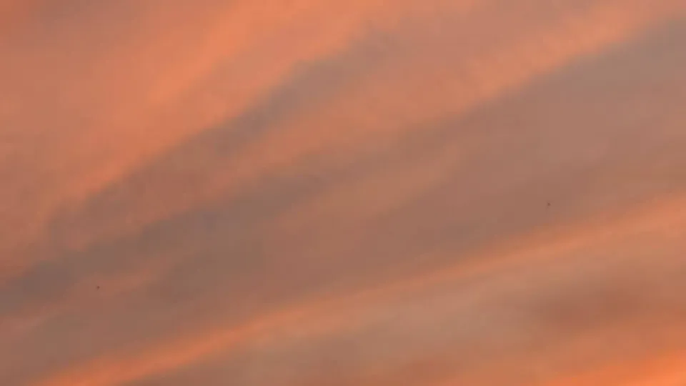 Фото: REGIONS/Дарья Кудинова