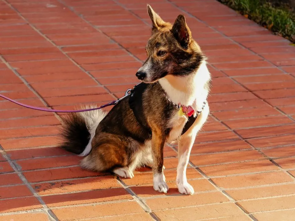 Фото: Екатерина Соколова&nbsp;