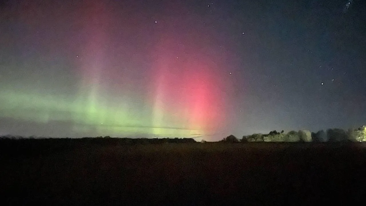 Дарья Леонова