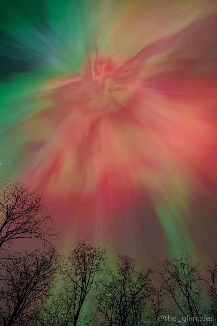 Фото из соцсетей