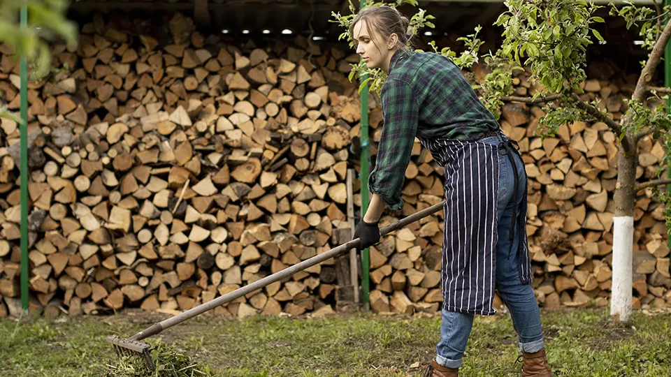 Фото: freepik.com