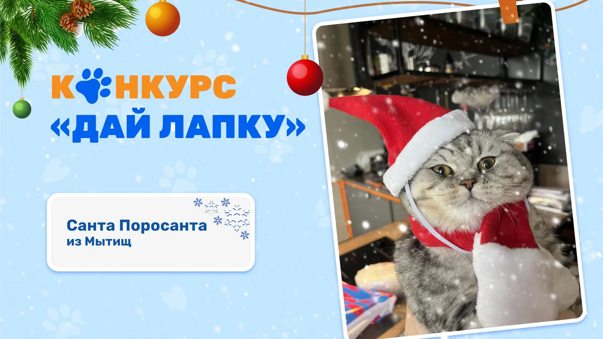 МосОблЕИРЦ