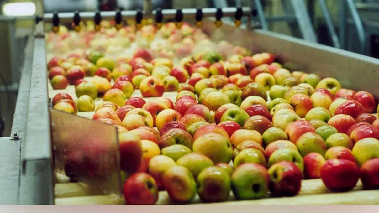 Фото: пресс-служба Министерства сельского хозяйства и продовольствия