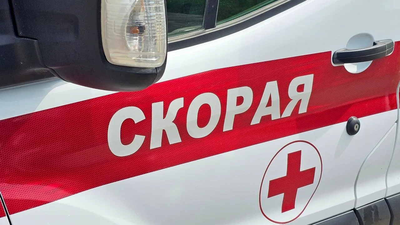 Картинка