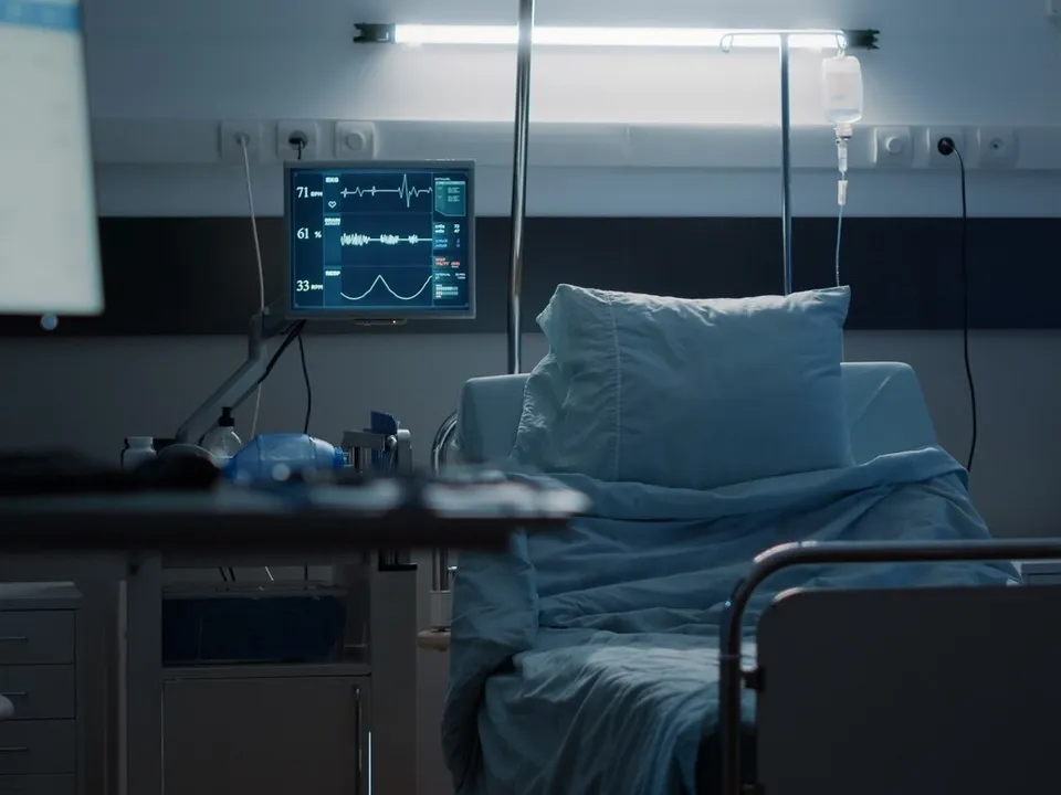 Фото: freepik.com&nbsp;&nbsp;