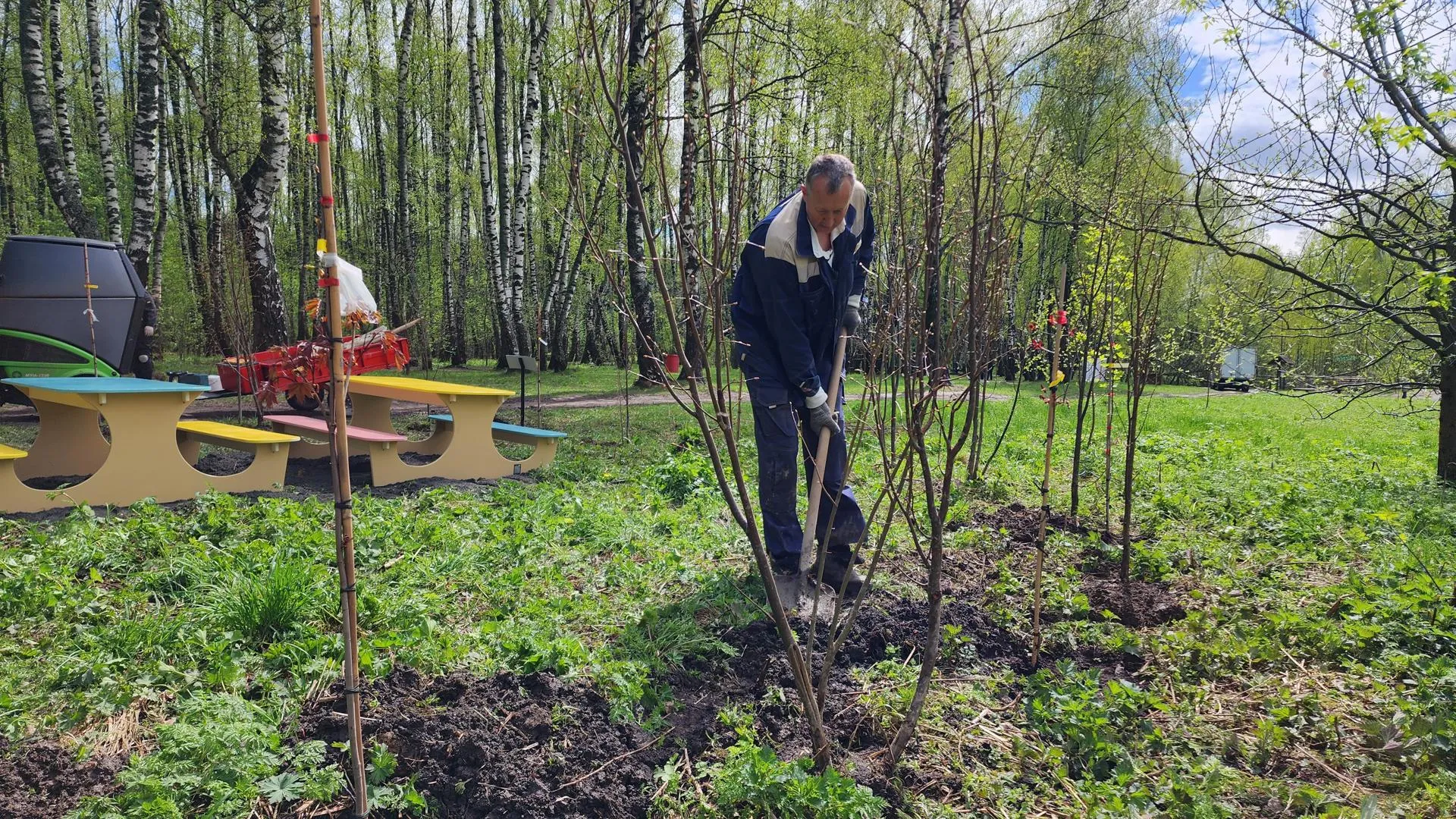 Фото: Анастасия Сараева