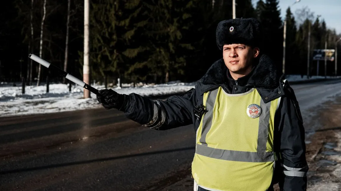Фото: Госавтоинспекция Московской области