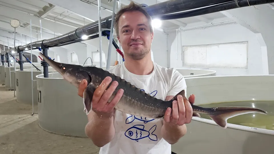 Фото: REGIONS/Александр Дрожжин