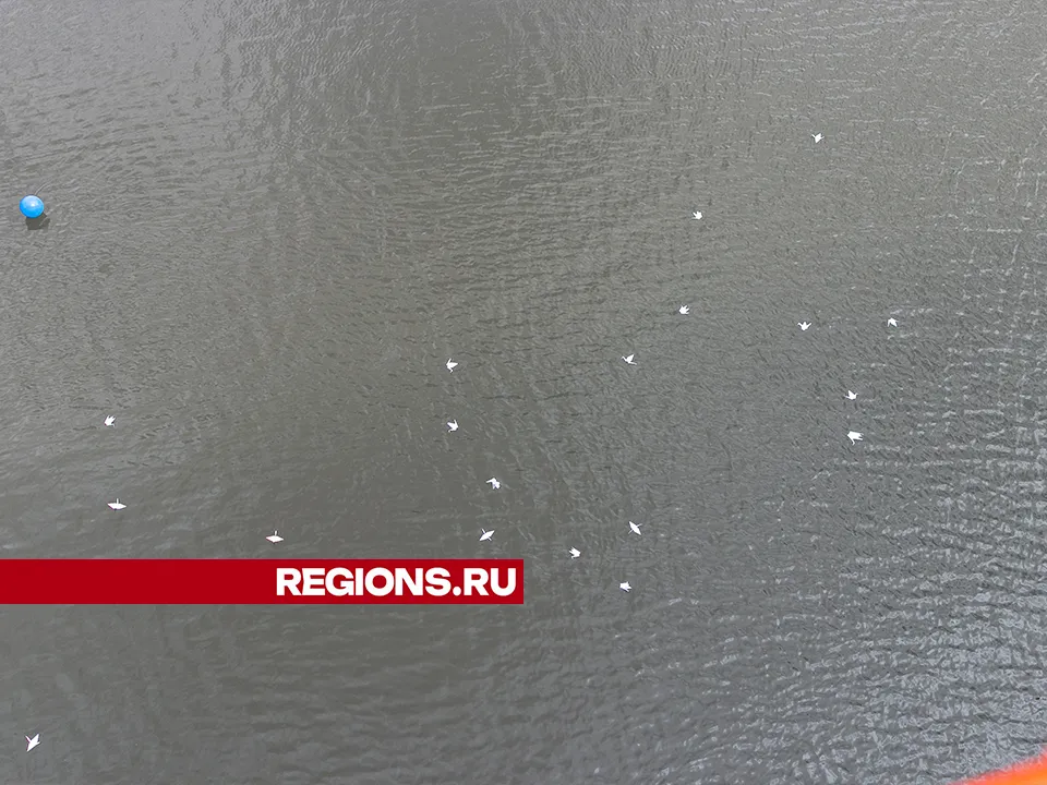 Фото: Евгений Мазепов