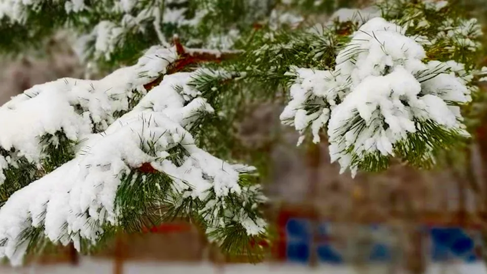 Фото: REGIONS/Алексей Селиверстов