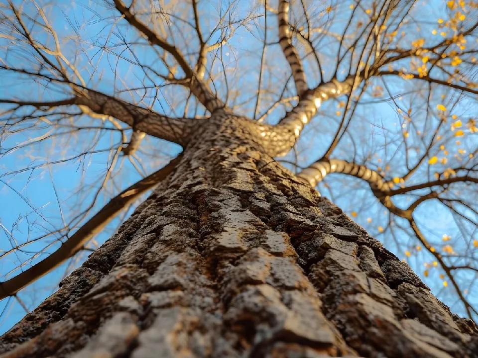 Фото: freepik.com&nbsp;