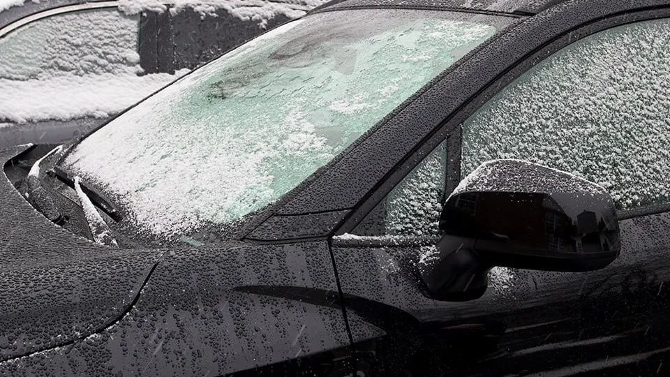 Фото: istockphoto.com/Johnrob