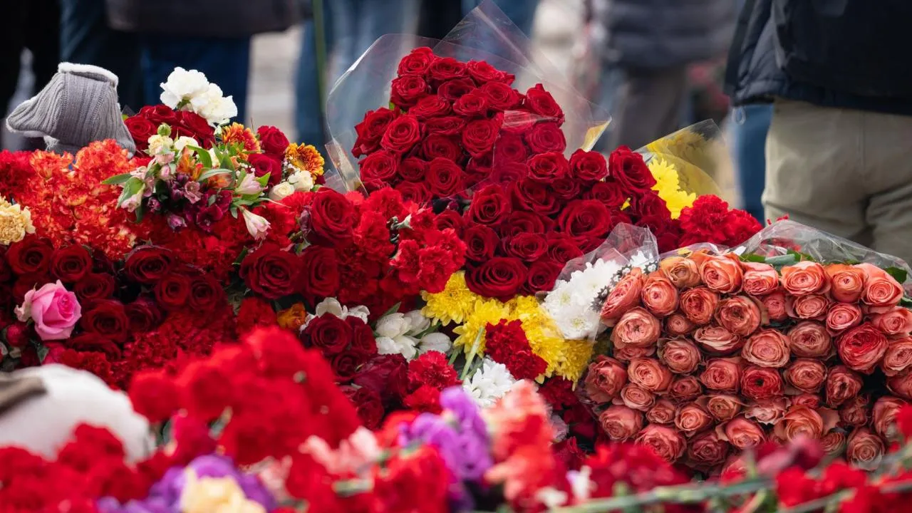 медиасток.рф