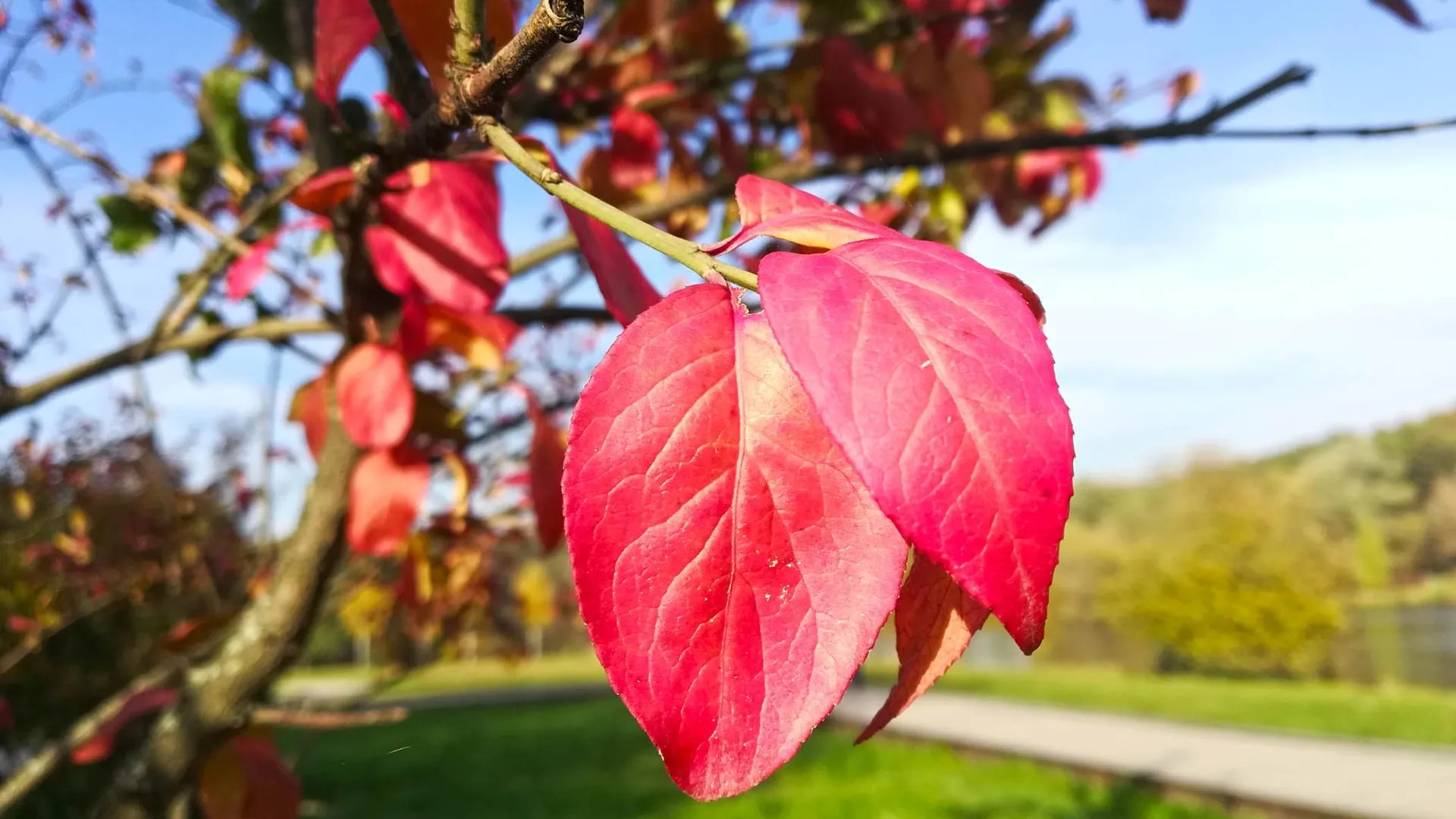 Фото: Дмитрий Кравцов