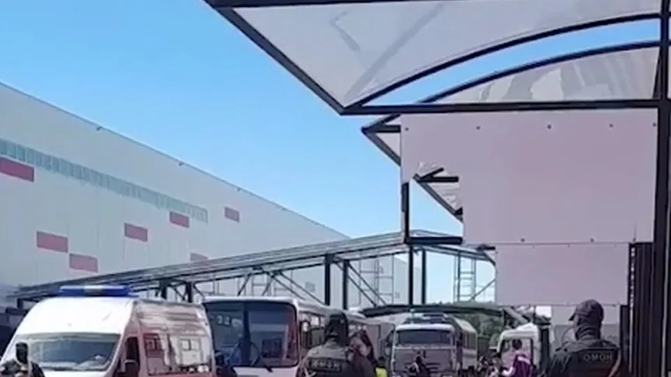 Фото: соцсети