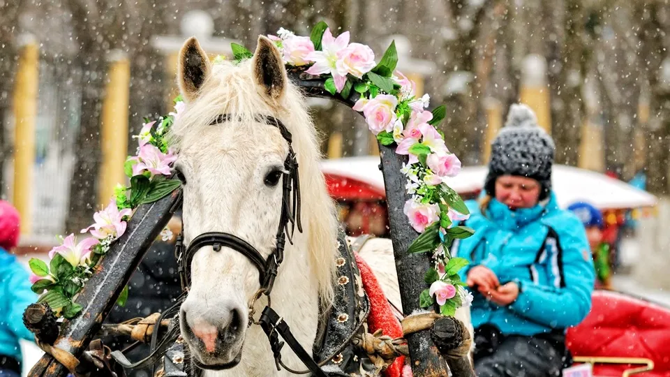 Фото: медиасток.рф