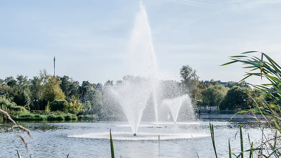 Фото: медиасток.рф