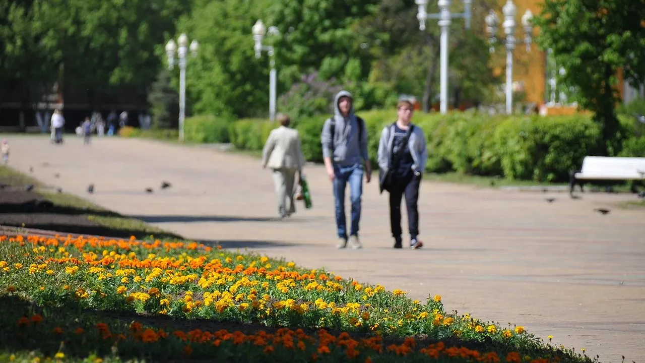Свыше 14 тысяч подростков устроились на временную подработку в Подмосковье за два месяца лета