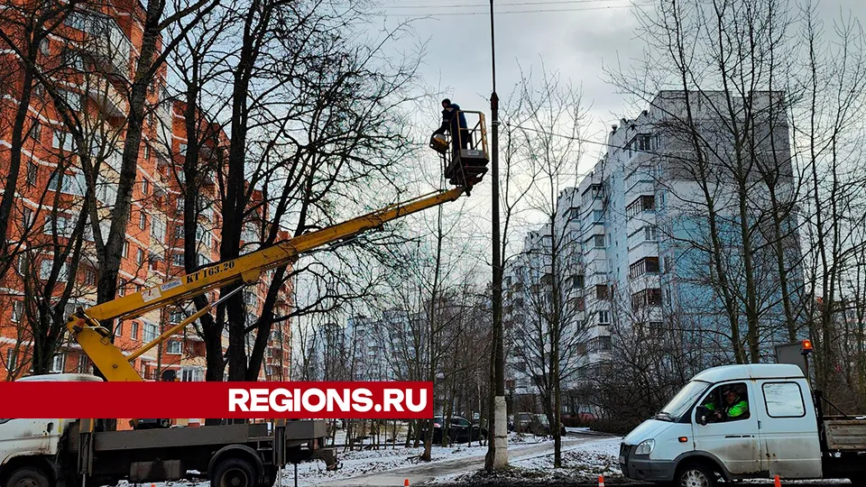 Фото: Валентина Максимова