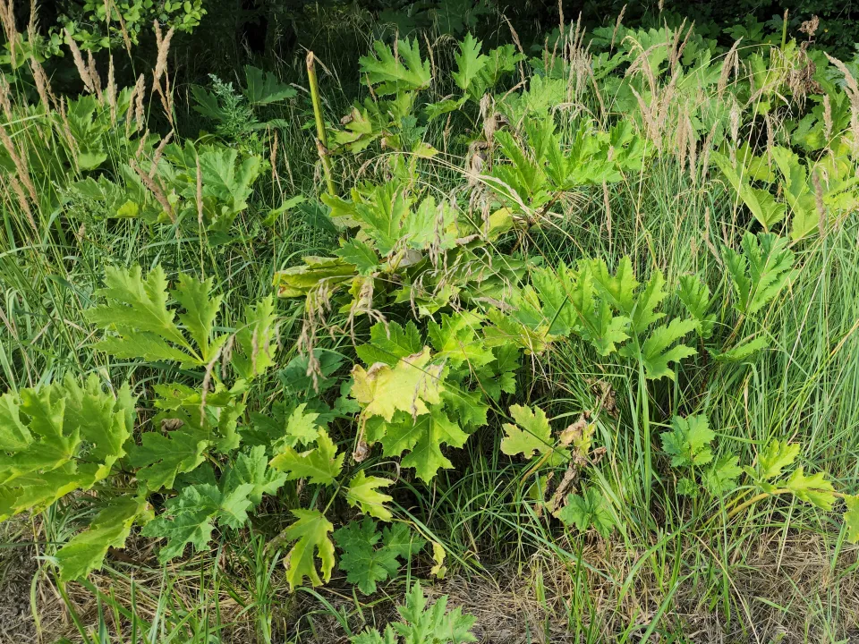 Фото: Медиабанк Подмосковья/Яна Шаливская