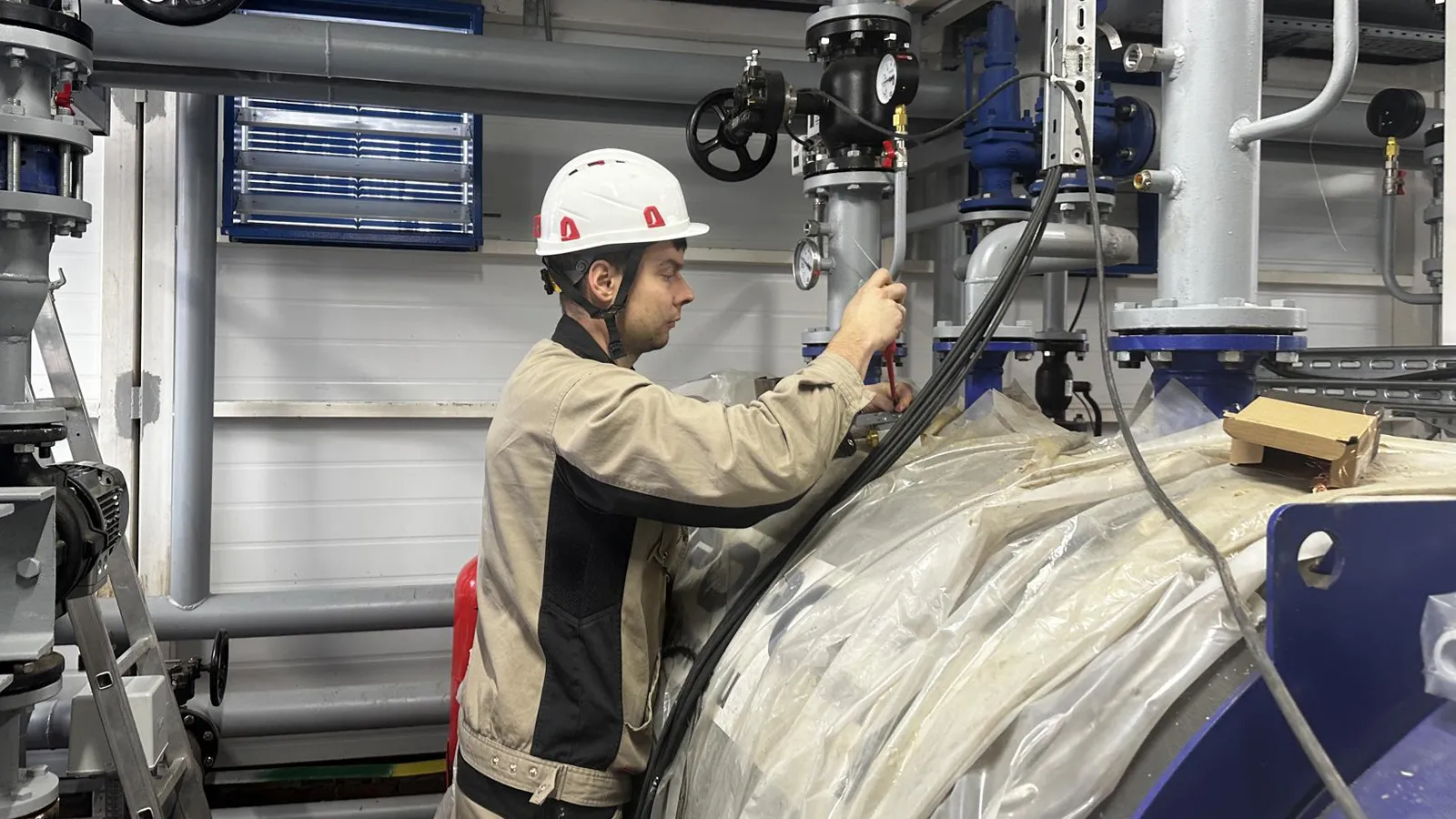 Фото: Медиабанк Подмосковья/Иван Дубров