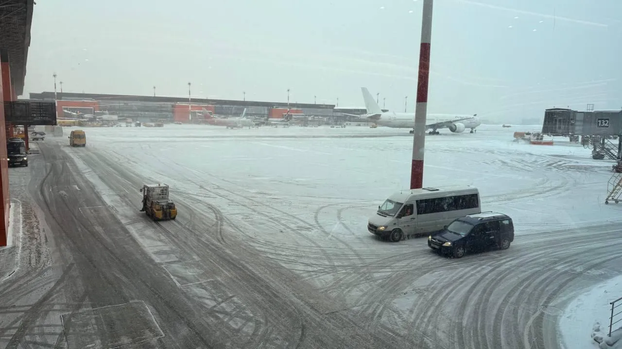 REGIONS/Андрей Савельев